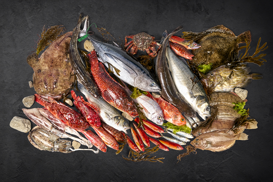 distribución del pescado fresco