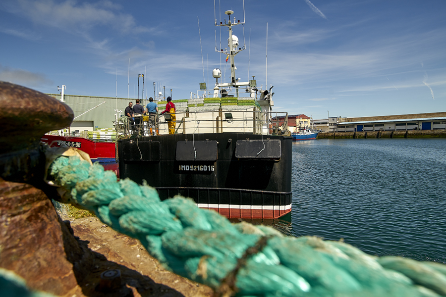 pesca sostenible