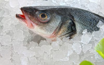 El arte de descongelar. No estropees el pescado en casa